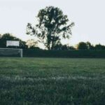 football odds