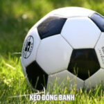 Kinh Nghiệm Soi Kèo Vào Tiền Chơi Kèo Đồng Banh Cho Tân Thủ
