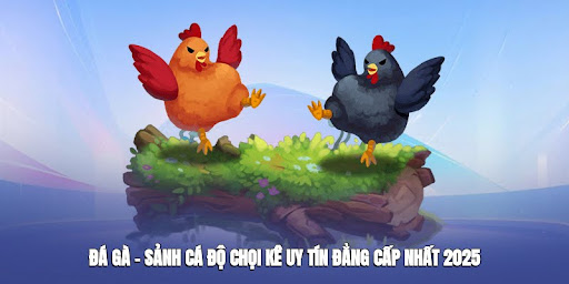 Cockfighting pg88 – The Most Prestigious and Classy Cockfighting Betting Hall 2025