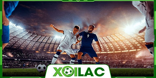 Predictions You Can Trust Matchday Insights by Xoi...