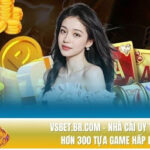 vsbet.br.com – A reputable bookmaker with over 300 attractive games