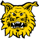 Ilves