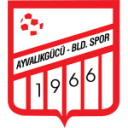 Ayvalikgucu