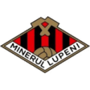 Minerul Lupeni